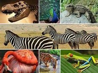 OCR Biology factors affecting Biodiversity