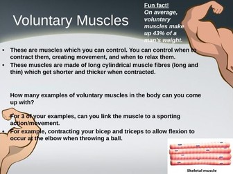 GCSE PE: Lesson 10: Muscles, muscle types and movement