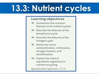 13.3 A-level 13.3: Nutrient cycles