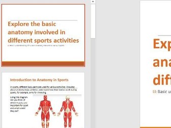 Basic anatomy involved in sports