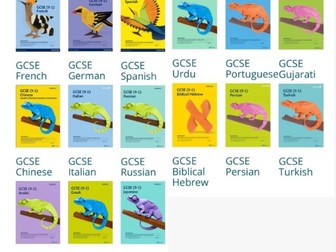 GCSE MFL First Languages Speaking Exams - General Conversation Questions