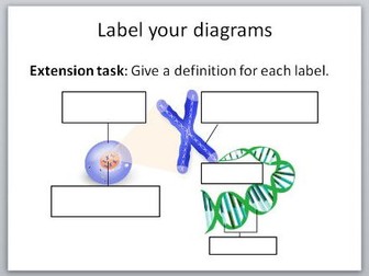 DNA