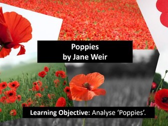 Poppies - AQA Power and Conflict Poetry Lesson - Lesson 12