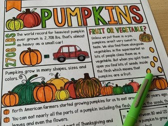 Pumpkin Coluring Page FREE