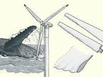 STEM Biomimicry Lesson