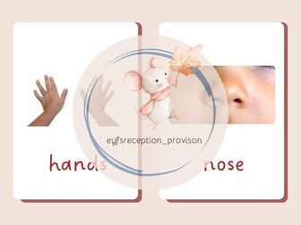 Basic Body Parts Photo Cards - EYFS