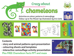 Crazy About Chameleons
