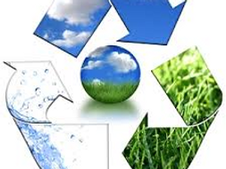 Crossword l'environnement French