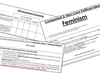 Edexcel A-Level Politics: Feminism Exam Guidance & Detailed Essay Plans