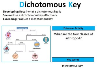 GCSE Biology: Dichotomous Keys
