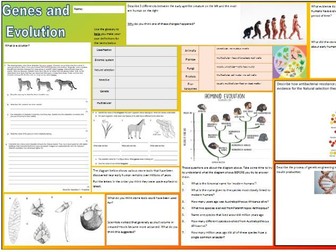 Genes and evolution revision