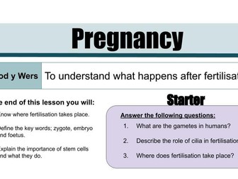 Pregnancy Lesson: Fertilisation