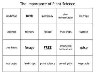 Importance of Plant Science Bingo for an Agriculture II Plant Science Course