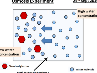 Osmosis explained  - animated ppt