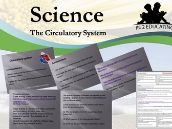 KS2 Science Circulatory system