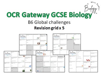 OCR Gateway Biology GCSE revision grid B6 Global challenges
