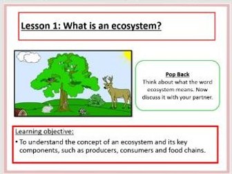What is an ecosytem?