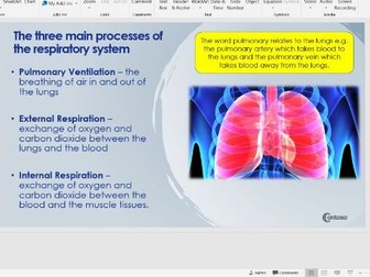 OCR GCSE PE - Respiratory System