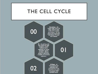 The cell cycle: A brief overview, AS level biology