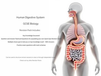 GCSE Biology - The Human Digestive System Revision Pack