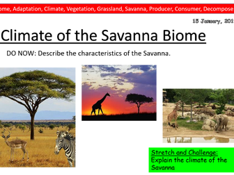 Geography Lesson- Climate of the Savanna Ecosystem