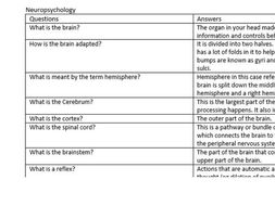 neuropsychology folding revision questions gcse psyc edexcel