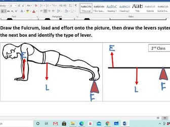 Levers in Sport. A practice worksheet