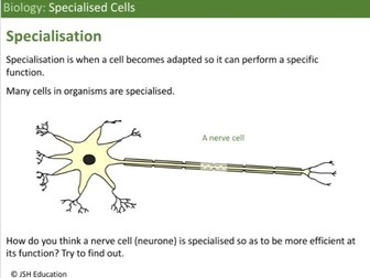 KS3 Biology: Specialised Cells