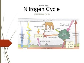 Nitrogen Cycle Revision Notes
