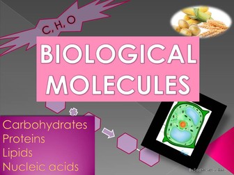 Edexcel IGCSE Biological molecules ppt