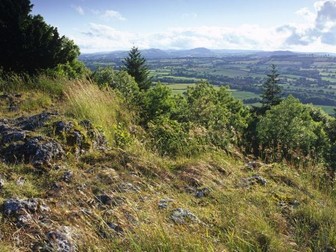 Vaughan Williams exam questions Edexcel Music A level