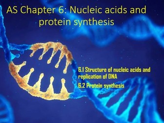 AS Biology Chapter 6: Nucleic acids and protein synthesis