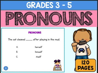 Pronouns Task Cards  Review