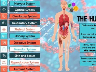 The Human Body - Interactive Resource