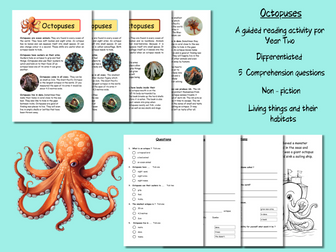Guided Reading Comprehension  Year Two:  Octopuses (non-fiction)