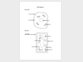 Animal & Plant Cell Labelling Exercise