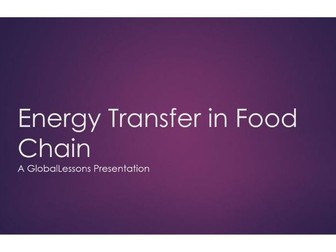 Energy Transfer In The Food Chain - FULL