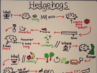 Story Map for Hedgehogs Non Chronological Report