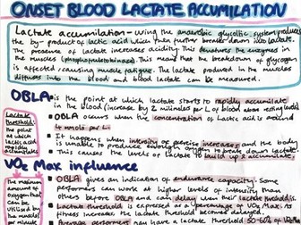 Onset Blood Lactate Accumulation (OBLA)