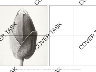 Karl Blossfeldt - Natural Forms - Cover Task - Art and Design