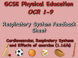 GCSE OCR PE (1.1d/e) respiratory system feedback sheet
