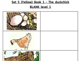 Read Write Inc -RWI Set 5 (Yellow) Book resources and activities bundle