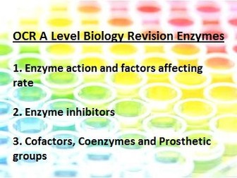 A level Biology OCR Chapter 4 Enzymes revision homework sheets [BUNDLE]