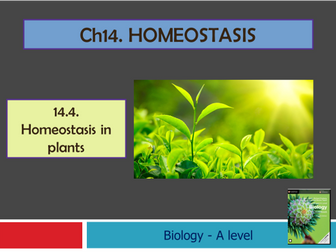 CIE - ch14.4 - HOMEOSTASIS IN PLANTS
