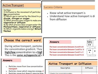 SEN/Low Ability Active Transport Complete Lesson