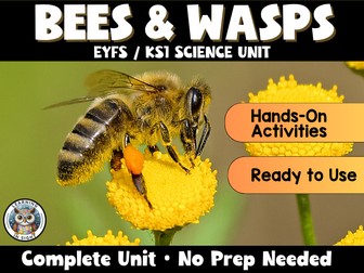 Mini Beasts: Bees & Wasps EYFS / KS1 Science Unit