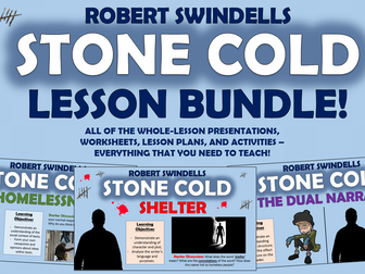 Stone Cold Lesson Bundle!