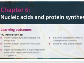 DNA & Protein Synthesis