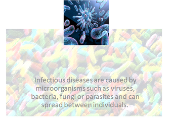Infectious disease what they are and how they spread