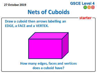 Drawing Nets of Cuboids Lesson